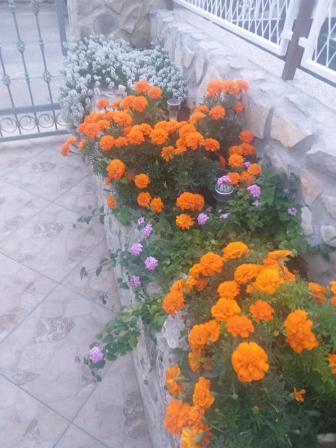 Appartement La Vita à Šibenik Extérieur photo